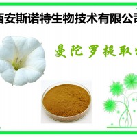 曼陀罗提取物 曼陀罗植物提取 10:1 可试样