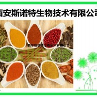 双孢菇提取物 双孢菇比例提取 10:1 现货