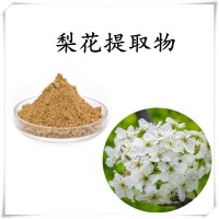 梨花提取物 斯诺特工厂直发 现货包邮 可免费试样