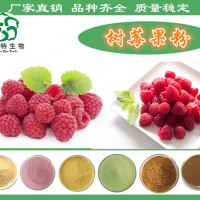 树莓果粉 红树莓粉 99.9%原汁原味 食品原料
