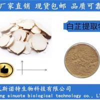 白芷提取物 10:1源头厂家 现货供应白芷粉