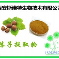 榛子提取物 榛子萃取加工 斯诺特提取物