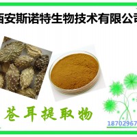 苍耳提取物 野茄子粉 10:1 包邮供应 发货快