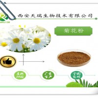 菊花提取物10:1药食同源产品供应