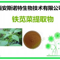 铁苋菜提取物 比例 10:1 原料提取 包邮