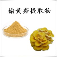 榆黄菇提取物 比例浓缩萃取 精细粉末 溶解性好 支持拿样