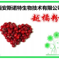 越橘提取物 越橘粉 斯诺应