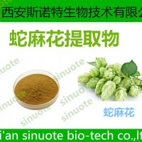 蛇麻花提取物 三原工厂 厂家现货 可试样