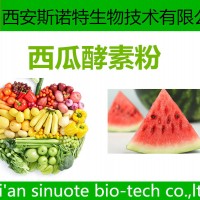 西瓜酵素粉  原料萃取粉 三原厂家 可试样