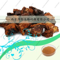 白桦茸提取物25%40%