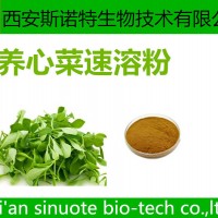养心菜速溶粉 救心菜粉 速溶粉 可试样