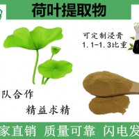 主营荷叶提取物 食品级原料 2%荷叶碱水溶