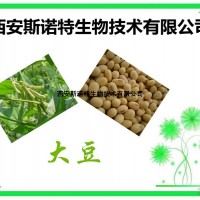 大豆异黄酮98% 大豆提取物 包邮