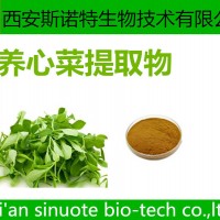 养心菜粉 蔬菜粉 原料萃取 可试样