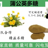 蒲公英多糖 提取物粉 膳食纤维粉 喷雾干燥粉