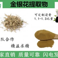 主营金银花提取物 食品级原料 水溶金银花粉