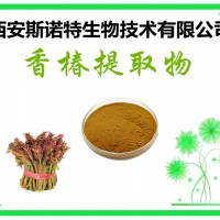 香椿叶提取物  香椿叶粉 可试样 斯诺特厂家