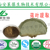 荷叶提取物,荷叶黄酮,荷叶生粉,荷叶粉,荷叶浓缩粉