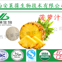 菠萝粉 凤梨粉 固体饮料原料 SC厂家供应