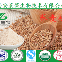 荞麦粉 荞麦面粉 谷物粉 天然食品添加系列 厂家供应