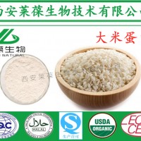 大米蛋白,80%大米蛋白,大米蛋白厂家,水溶大米蛋白