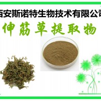 伸筋草速溶粉 伸筋草粉 石松速溶粉 包邮