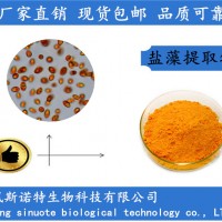 盐藻素5% β-胡萝卜素 盐藻提取物粉厂家