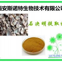 石决明提取物 规格 10:1 石决明粉 发货快