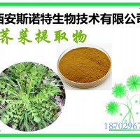 荠菜提取物 荠菜粉 植物提取 可试样 sinuote