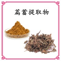 萹蓄提取物 斯诺特工厂生产 规格多支持定制生产 可试样