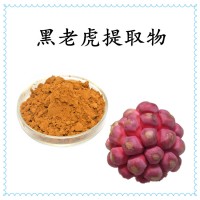 黑老虎提取物 比例浓缩萃取 水溶性好 质量稳定 支持试样