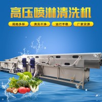 高压喷淋清洗机 连续式高压山药清洗流水线 高压洗姜机器