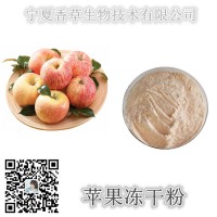 苹果冻干粉 固体饮料苹果粉100目  苹果提取物10:1
