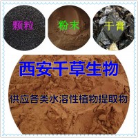 龙葵根提取物龙葵根浓缩汁粉龙葵根浸膏粉