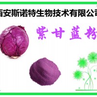 紫甘蓝提取物 紫甘蓝粉 斯诺特生物 粉末状