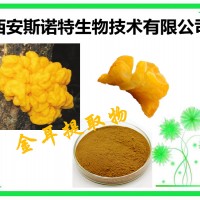 金耳多糖 50% 金耳提取物 发货快 斯诺特