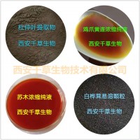 水溶性佛手提取物佛手粉 供应多规格佛手浓缩萃取原液