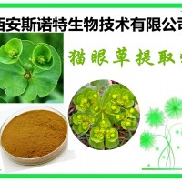 猫眼草粉 猫眼草提取物 斯诺特生物 发货快