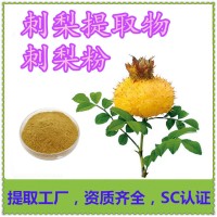 刺梨提取物企标三方报告