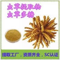 虫草提取物 新食品原料
