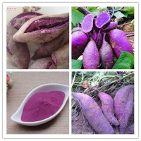 紫薯粉食品饮料