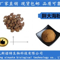 胖大海粉 速溶胖大海粉厂家