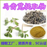 马齿苋提取物企标三方报告