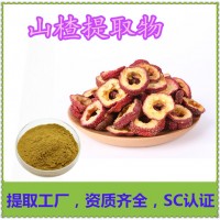 山楂提取物 新食品原料