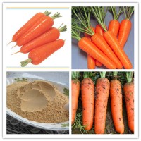 胡萝卜粉食品饮料