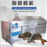 自动化脱鱼鳞机 YQT型不锈钢鲜鱼去鱼鳞设备 刮鱼鳞机械