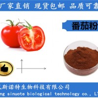 番茄粉 番茄浓缩粉 番茄提取物厂家优惠