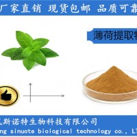 薄荷提取物 薄荷萃取粉 食品级薄荷粉