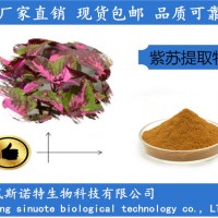 紫苏提取物20:1 紫苏速溶粉 浓缩紫苏粉