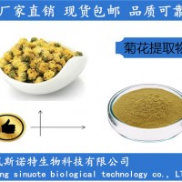菊花提取物10:1 浓缩菊花粉 企标三方资质齐全